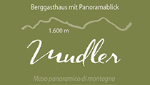 logo-mudler