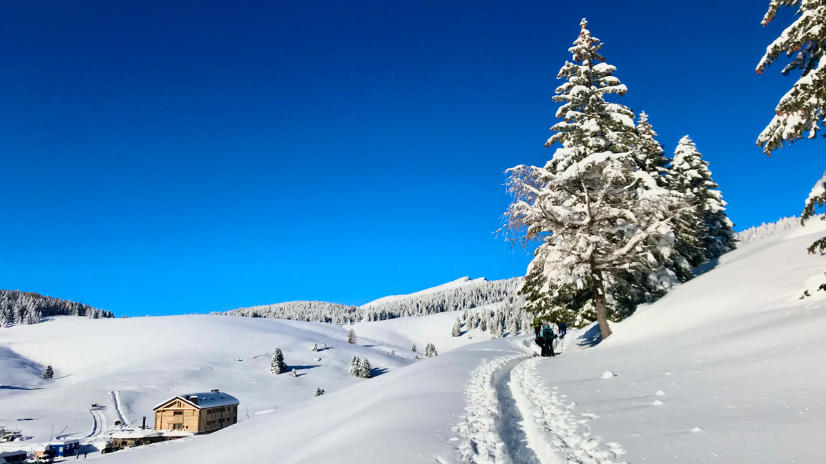 paesaggio con la neve in Val Formica