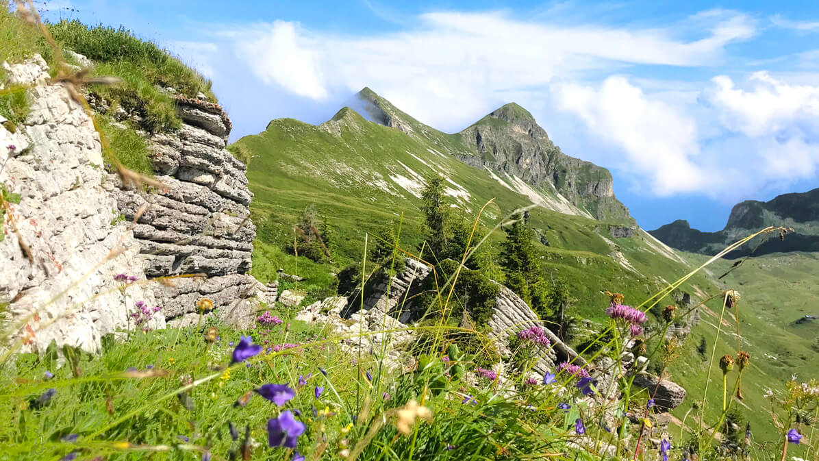 natura in Dolomiti Bellunesi Pavione