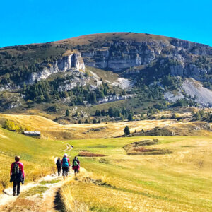 Camminando verso il Col Santo sull'Alpe Alba