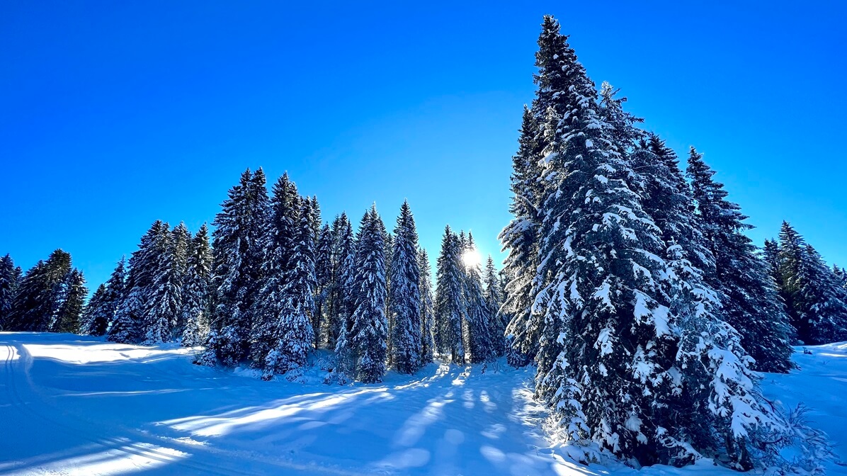 neve fresca ciaspolata