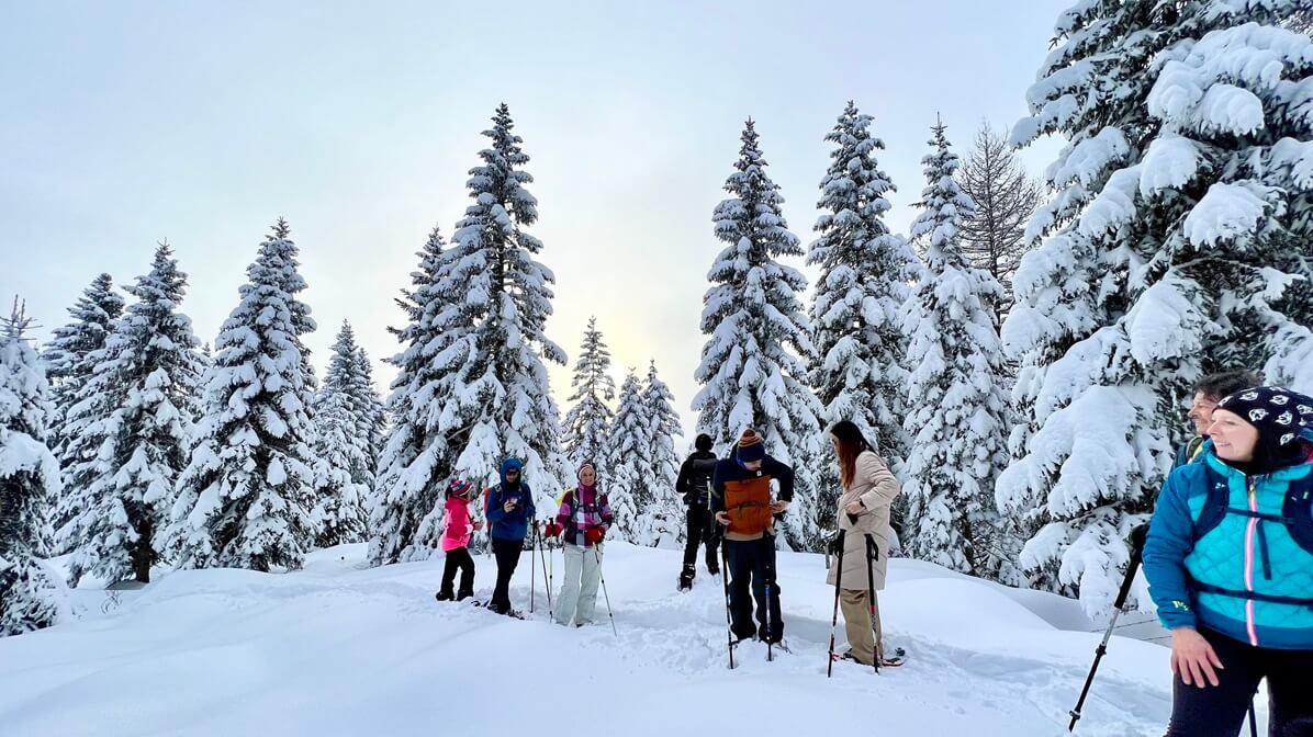 ciaspolata bosco neve fresca